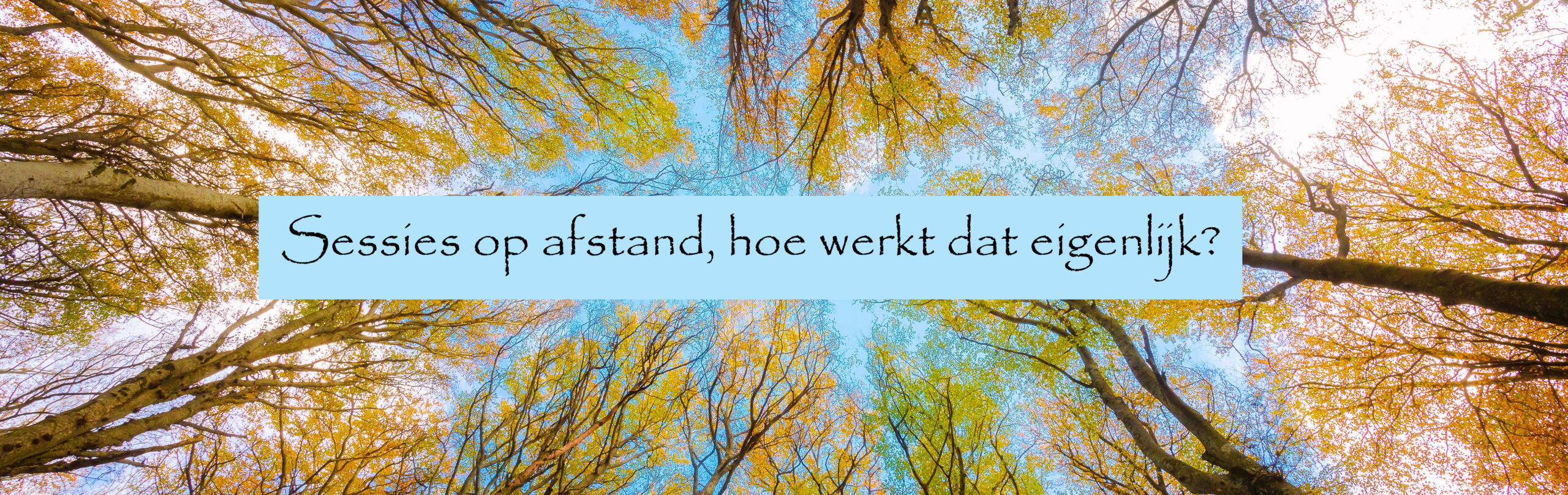 sessies op afstand